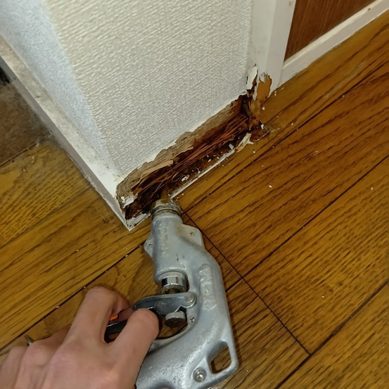 傷んだ木部にシロアリ駆除剤を注入