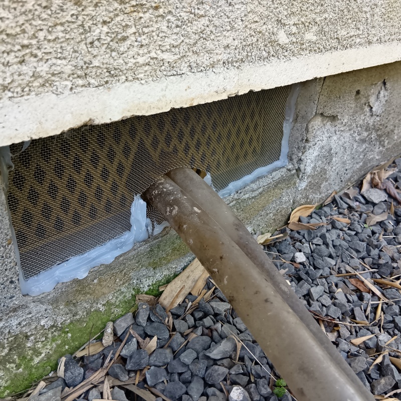 ネズミ駆除の施工事例（茨城県石岡市村上）