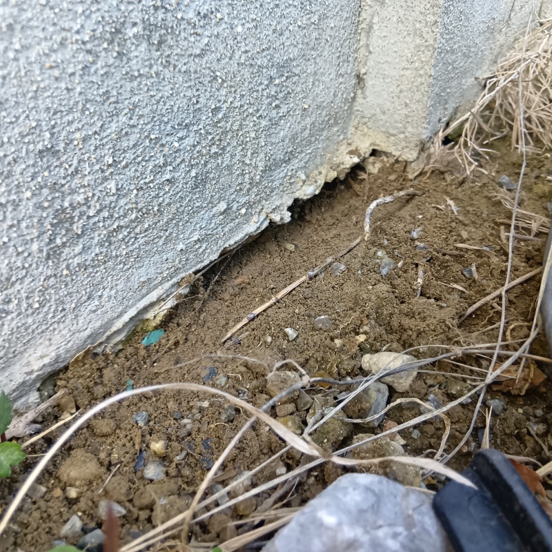 侵入口になっていたすき間