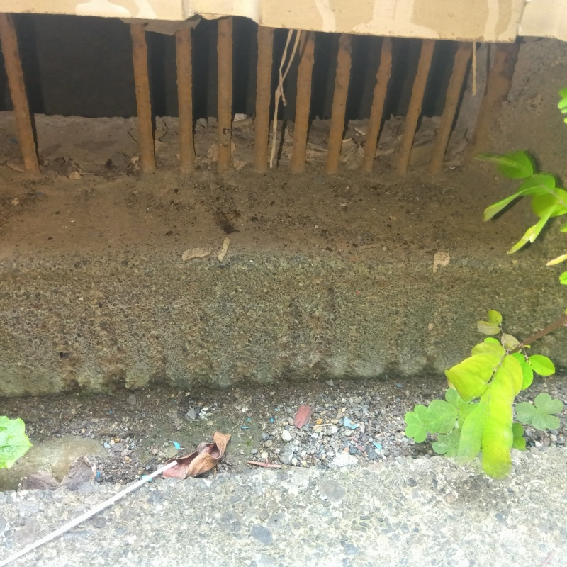 侵入口になっていた床下換気口