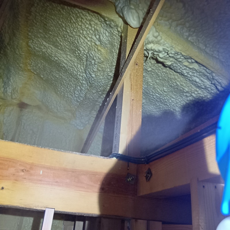 噴霧器で除菌・消臭している様子