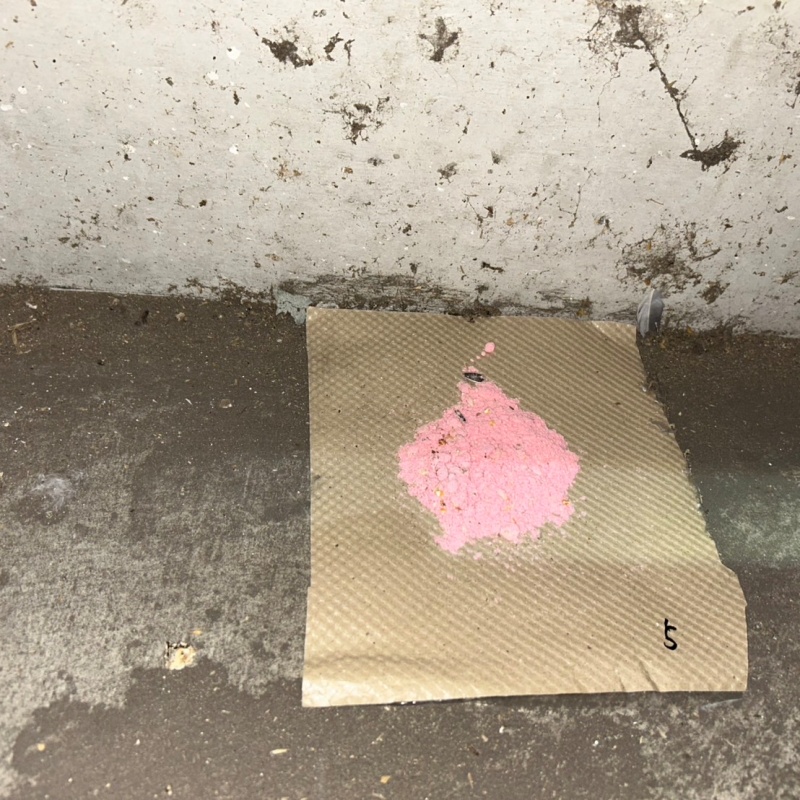 床下に殺鼠剤を設置