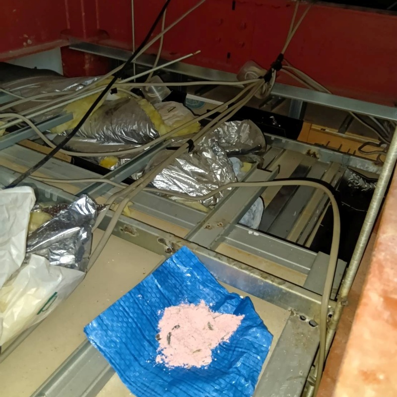 殺鼠剤を仕掛けている様子