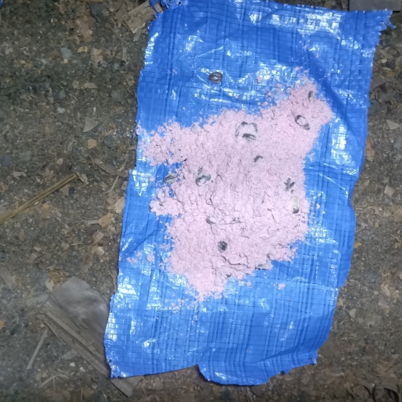 床下に殺鼠剤を設置