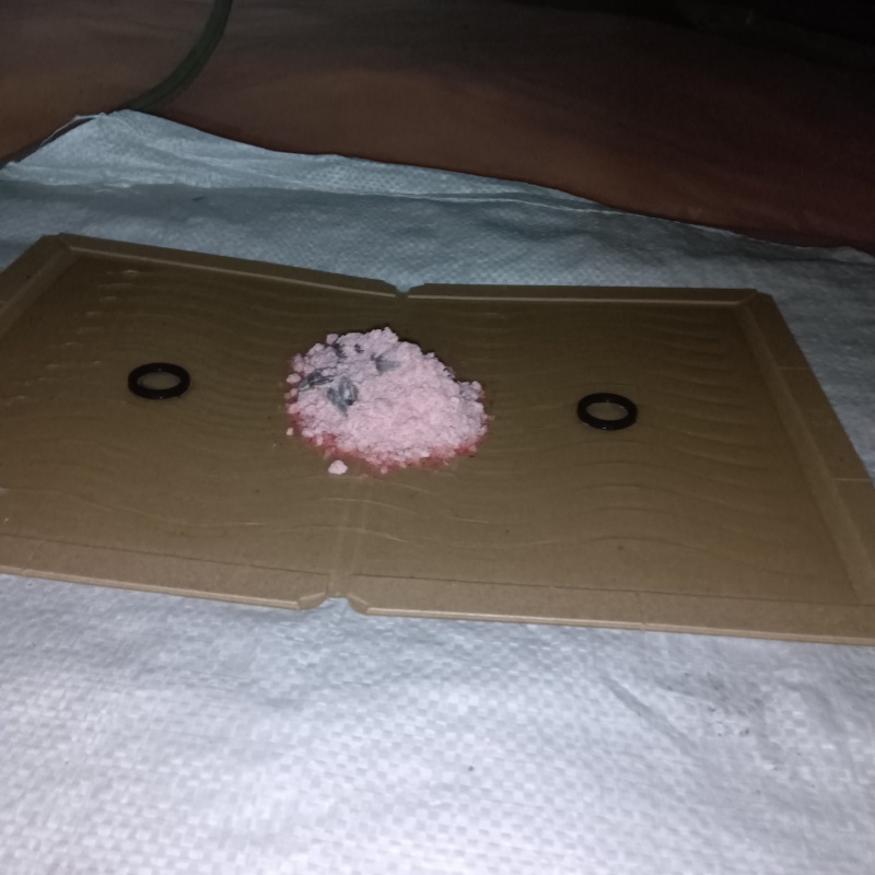 殺鼠剤を仕掛けている様子