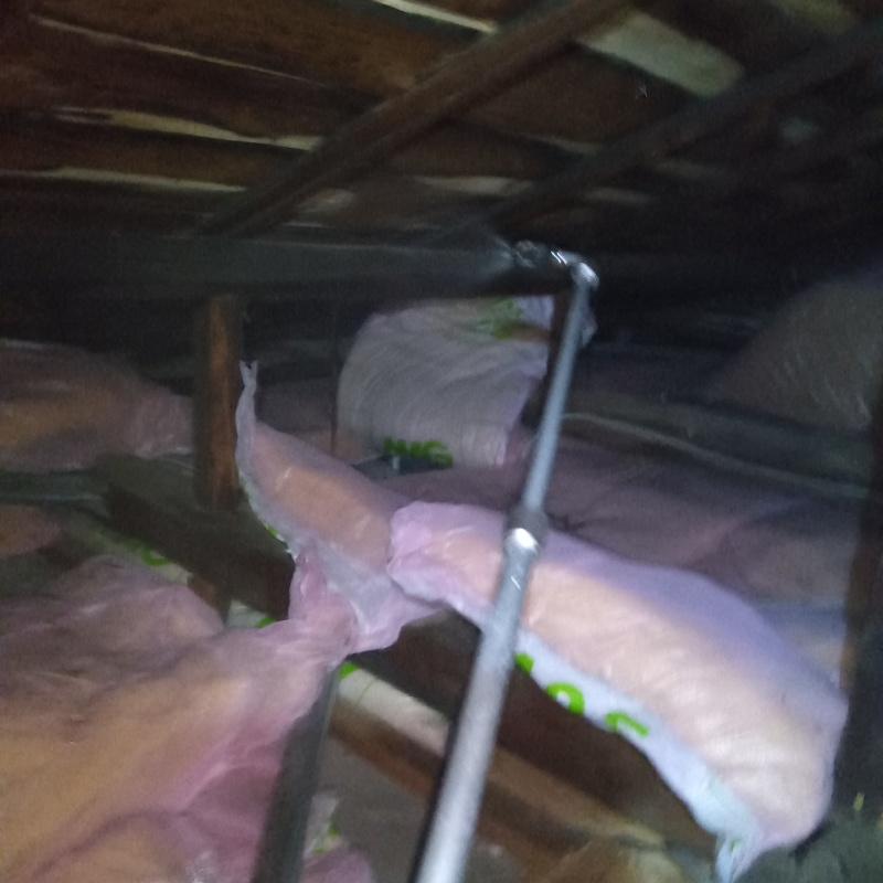 屋根裏に殺虫剤を散布