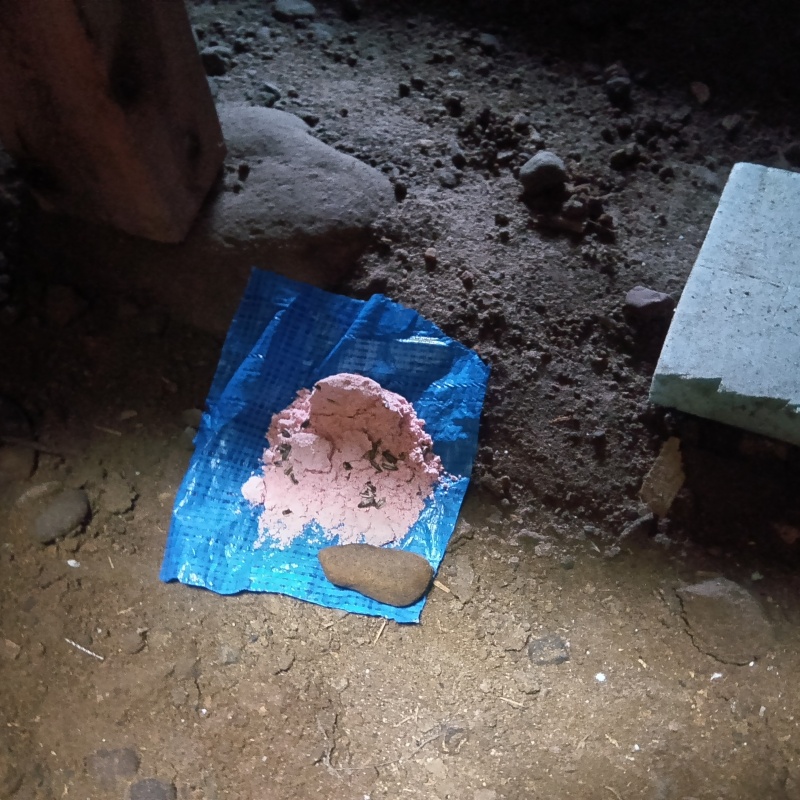 床下に殺鼠剤を設置