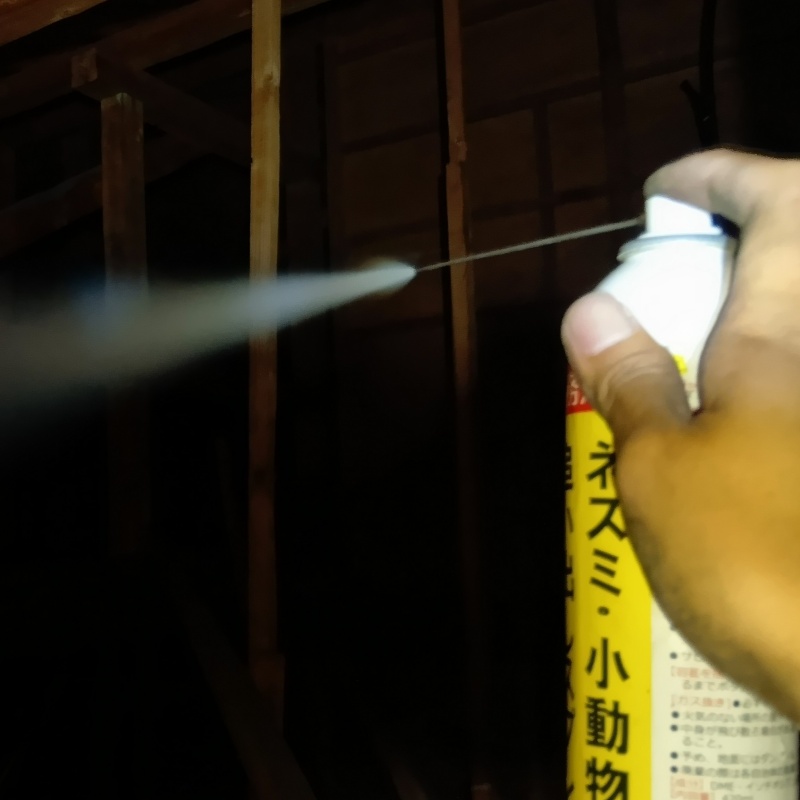 アライグマ駆除の施工事例（福岡県嘉穂郡桂川町土師）