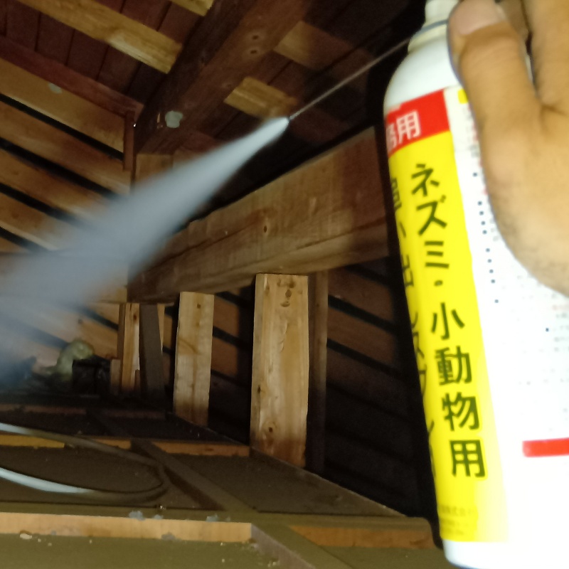 忌避剤をスプレー