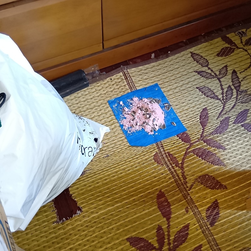 殺鼠剤を設置