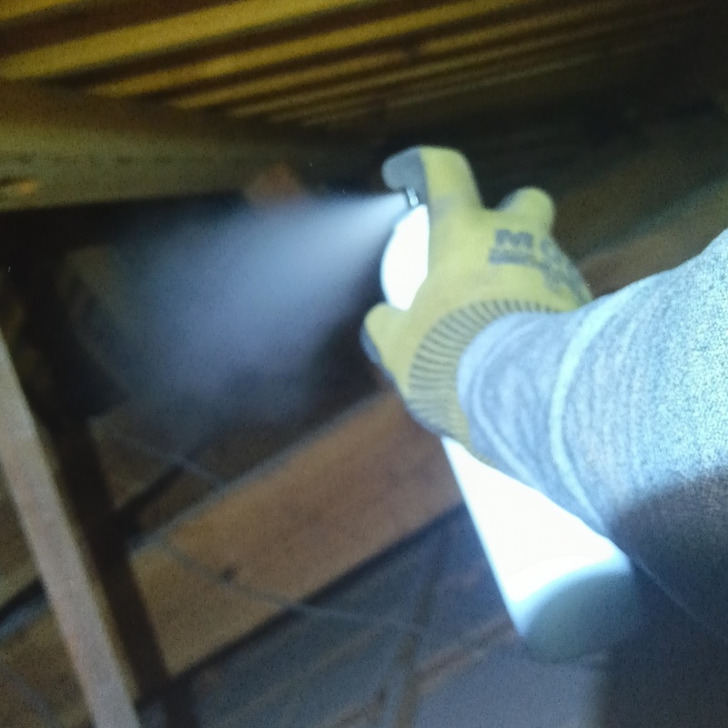 忌避剤をスプレー