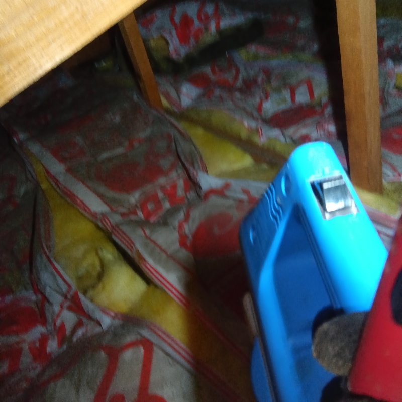 噴霧器で除菌・消臭剤を散布