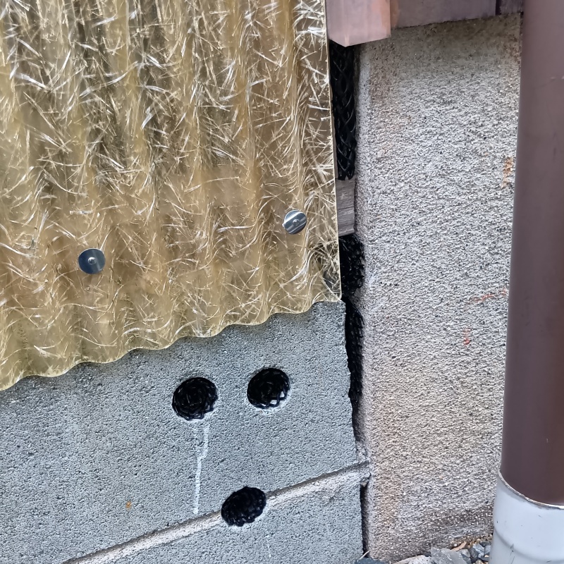 アライグマ駆除の施工事例（佐賀県三養基郡上峰町坊所）