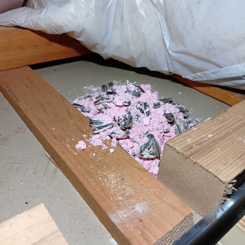 殺鼠剤を設置
