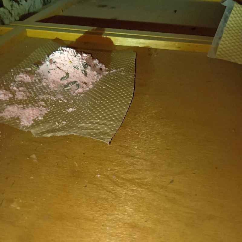 殺鼠剤を設置