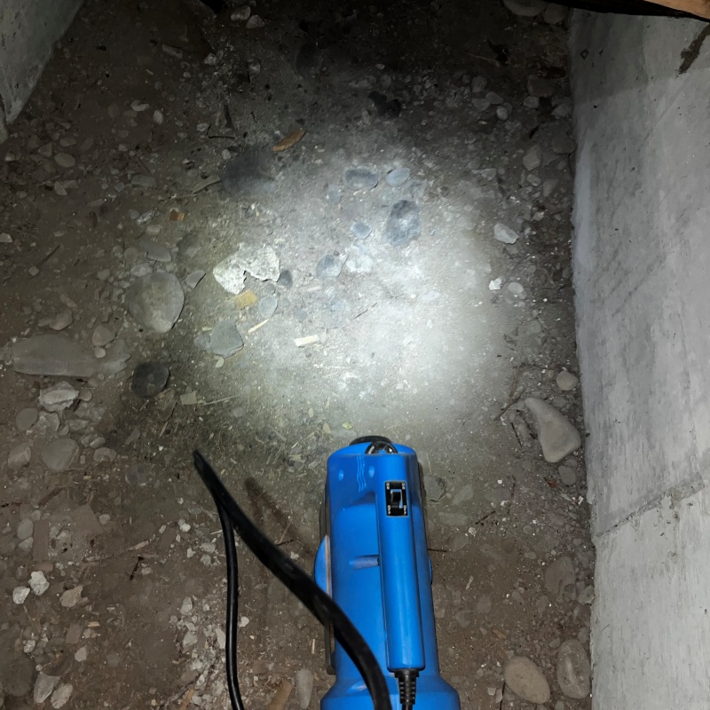 噴霧器で殺虫剤を散布