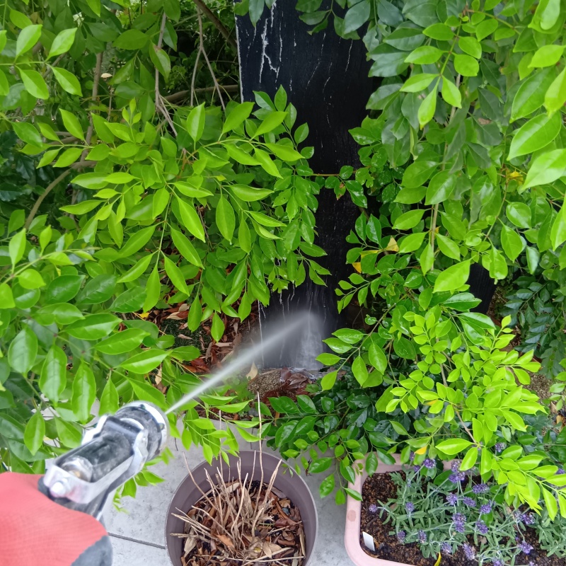 築年数10年のシロアリ予防の施工事例（愛媛県大洲市）