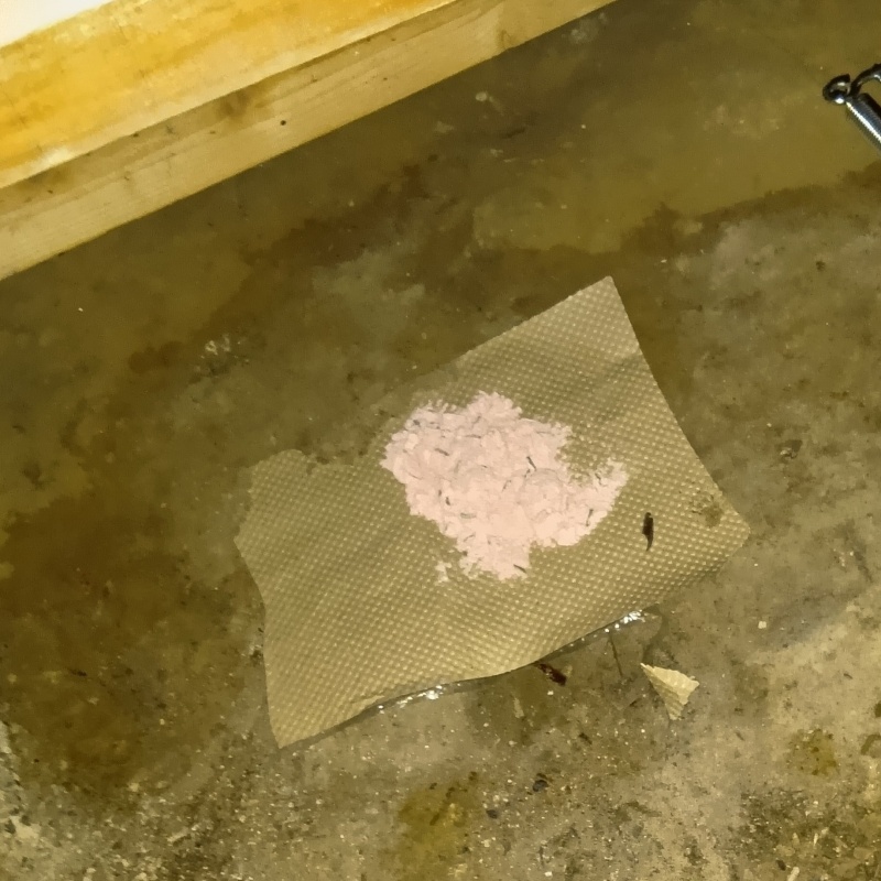 殺鼠剤を設置