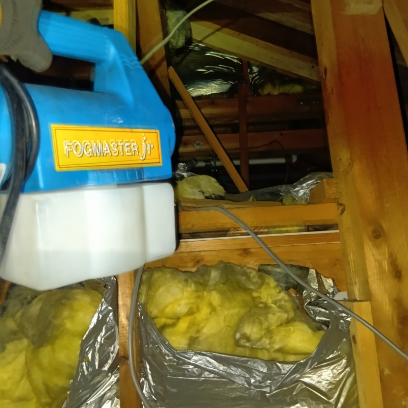 噴霧器で除菌・消臭剤を散布