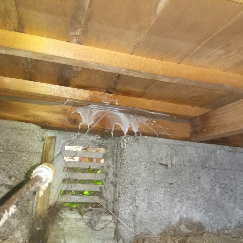 床下の木材にシロアリ駆除剤を散布