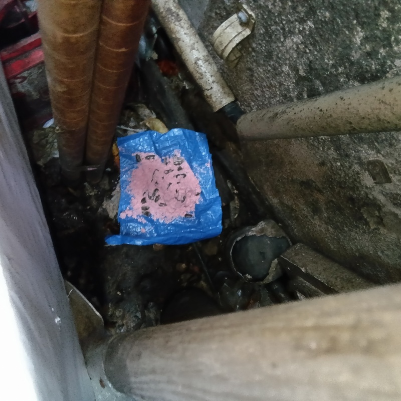殺鼠剤を設置