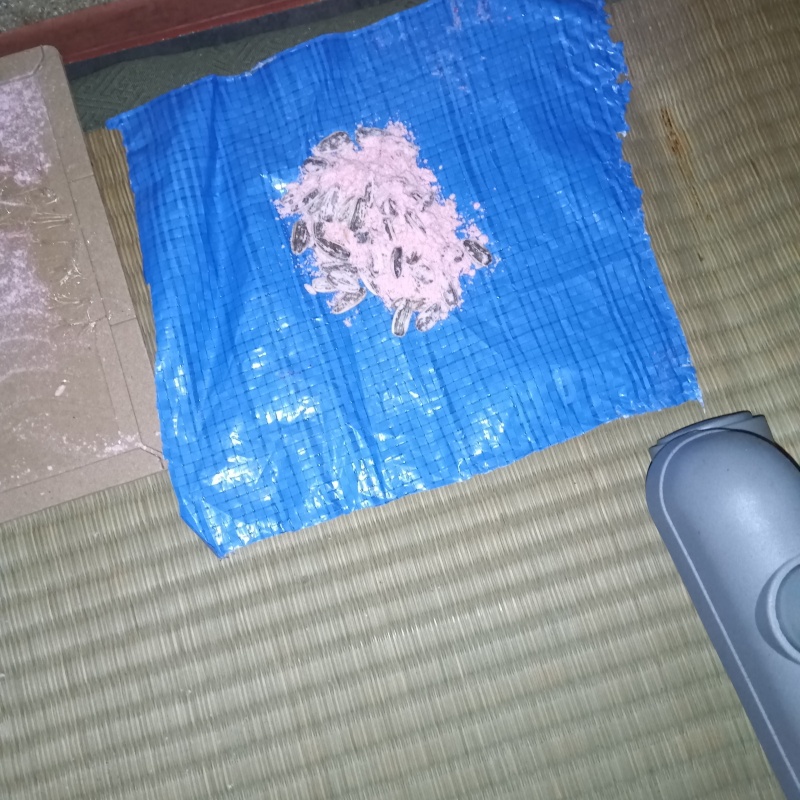 殺鼠剤を設置