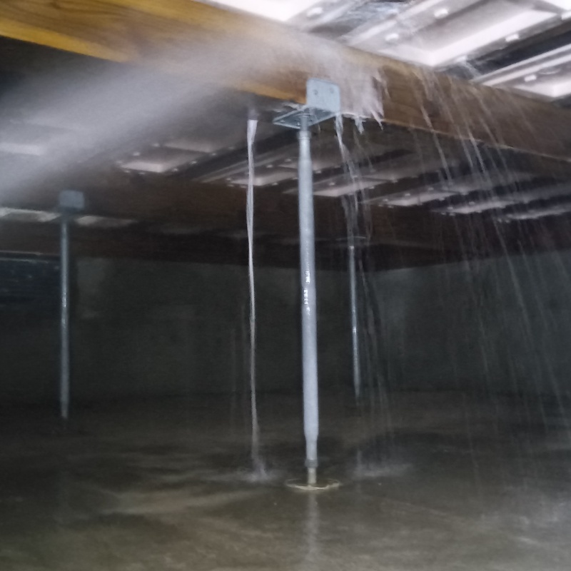 床下木材に防蟻剤を散布