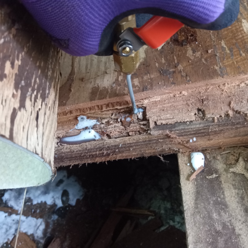 築年数30年のシロアリ駆除の施工事例（山梨県甲府市国母）