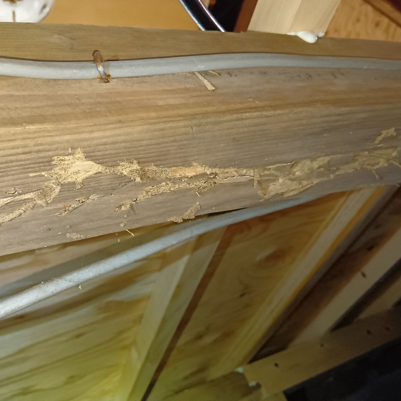 築年数40年のシロアリ駆除の施工事例（東京都稲城市矢野口）