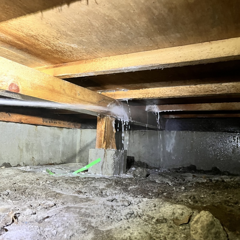 床下木材にシロアリ駆除剤を散布