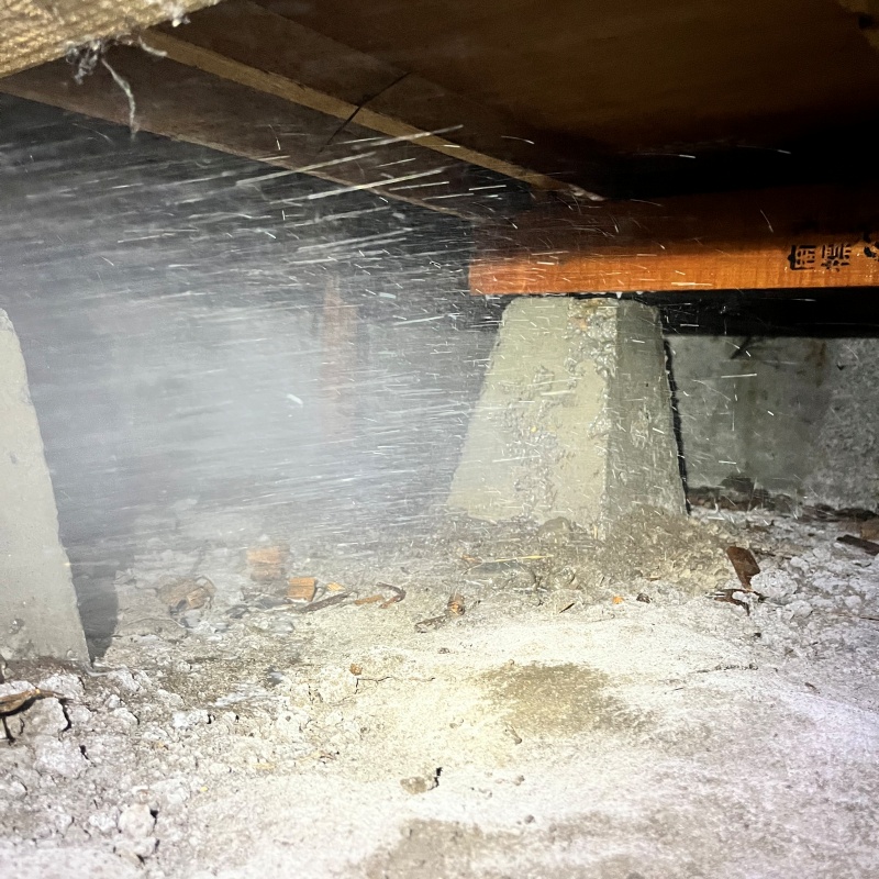 床下木材にシロアリ駆除剤を散布