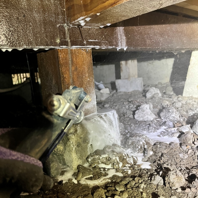 地面にシロアリ駆除剤を散布