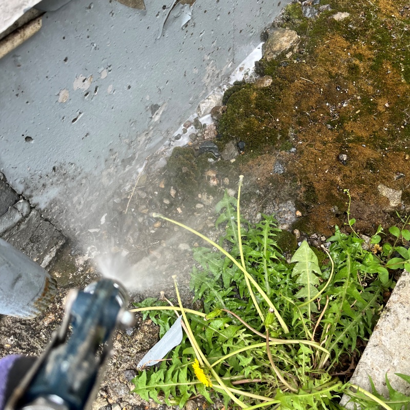 建物外周の土壌にシロアリ駆除剤を散布