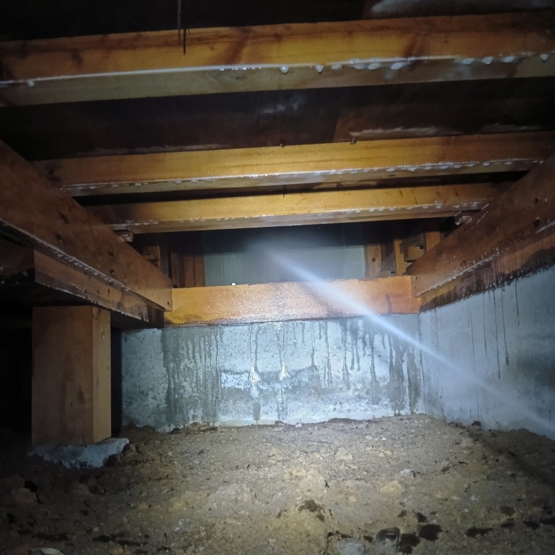 基礎にシロアリ駆除剤を散布