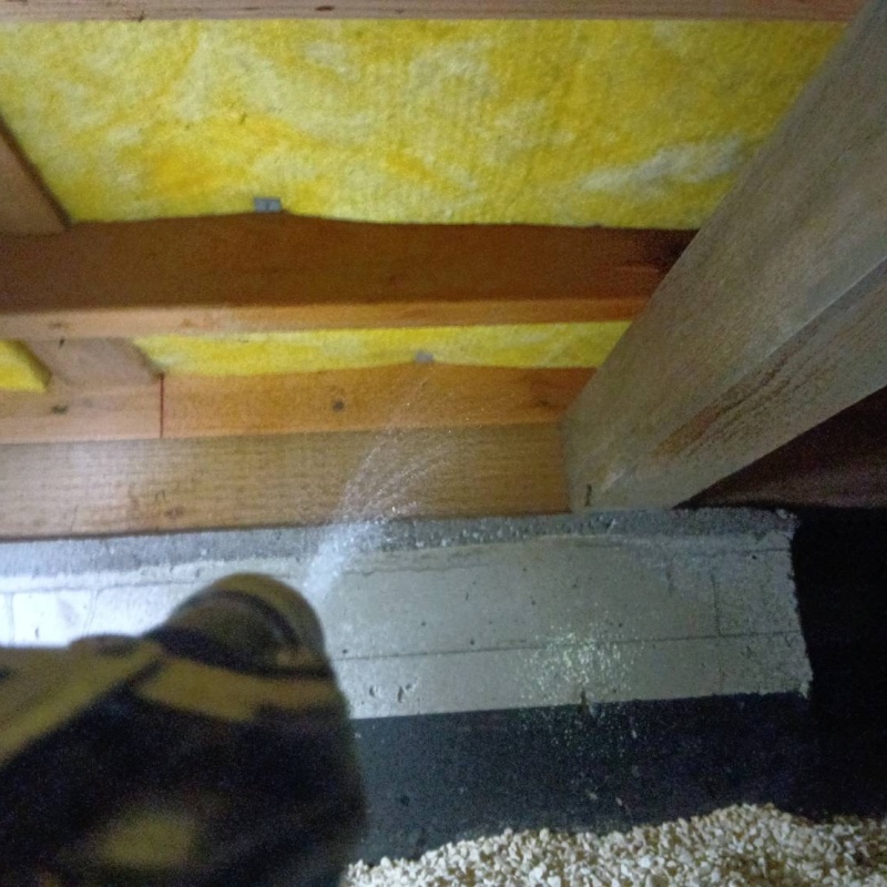 床下の木材にシロアリ駆除剤を散布