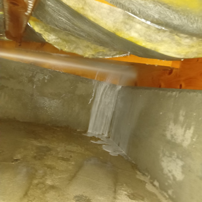 床下木材に防蟻剤を散布