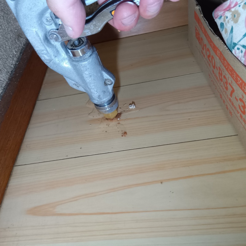 室内床に防蟻剤を注入する様子