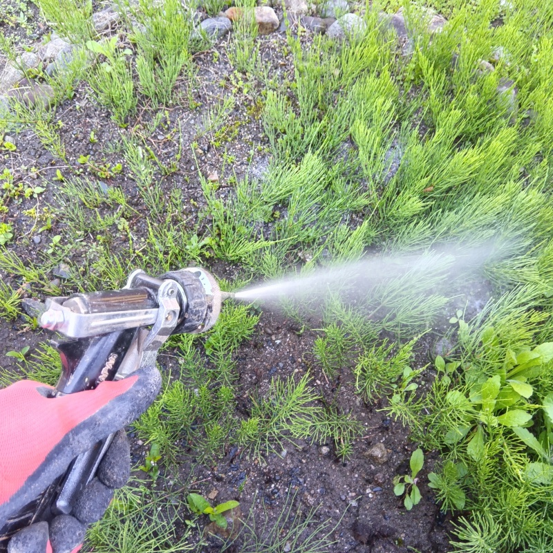 建物外周の土壌にシロアリ駆除剤を散布