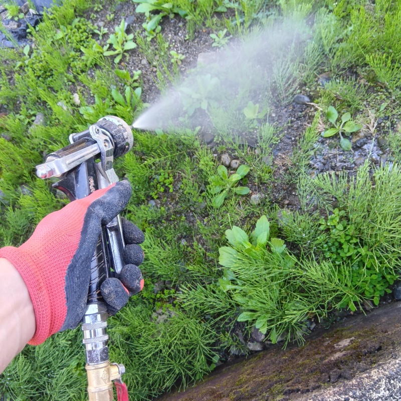 建物外周の土壌にシロアリ駆除剤を吹き付ける様子