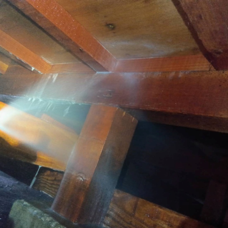 築年数30年のシロアリ駆除の施工事例（山梨県中央市）