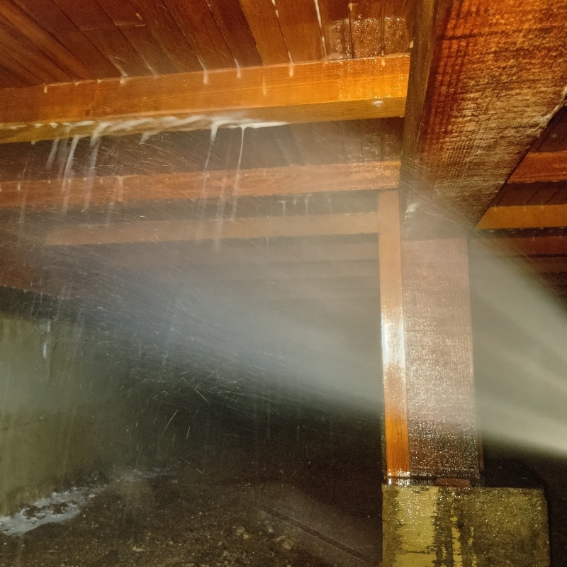 床下木材にシロアリ駆除剤を散布