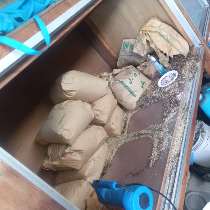 噴霧器で除菌・消臭剤を散布