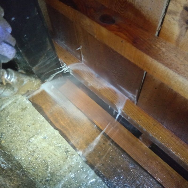 床下木材にシロアリ駆除剤を散布