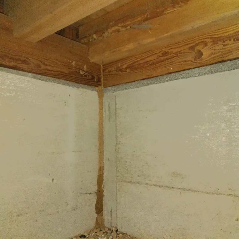 築年数40年のシロアリ駆除の施工事例（茨城県鹿嶋市大船津）