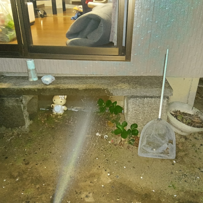 建物の外周にシロアリ駆除剤を散布