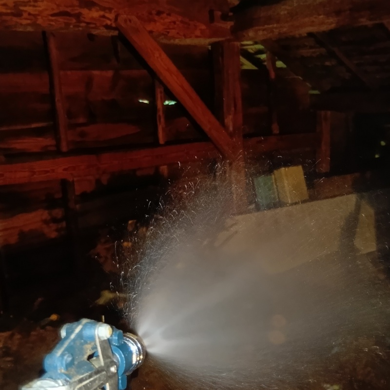 屋根裏の木材にシロアリ駆除剤を散布