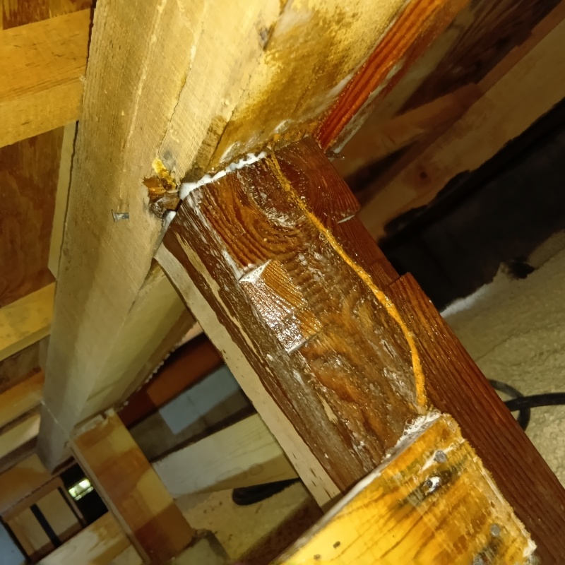 シロアリ駆除の施工事例（千葉県南房総市富浦町深名）