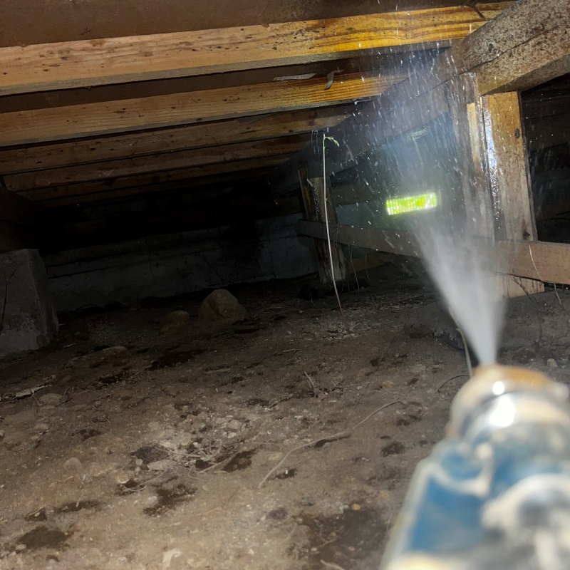 床下木材にシロアリ駆除剤を散布