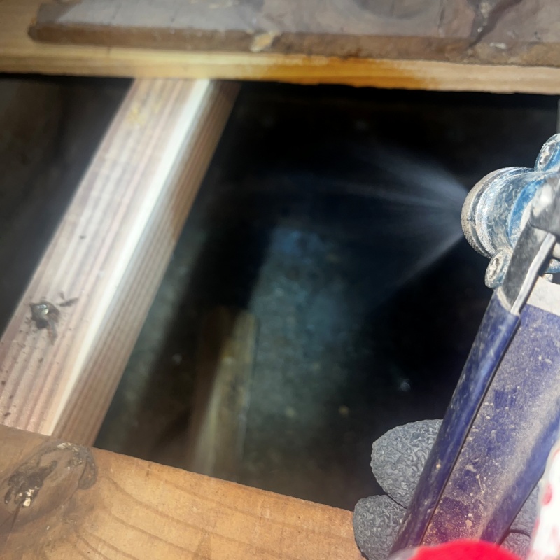 地面にシロアリ駆除剤を散布