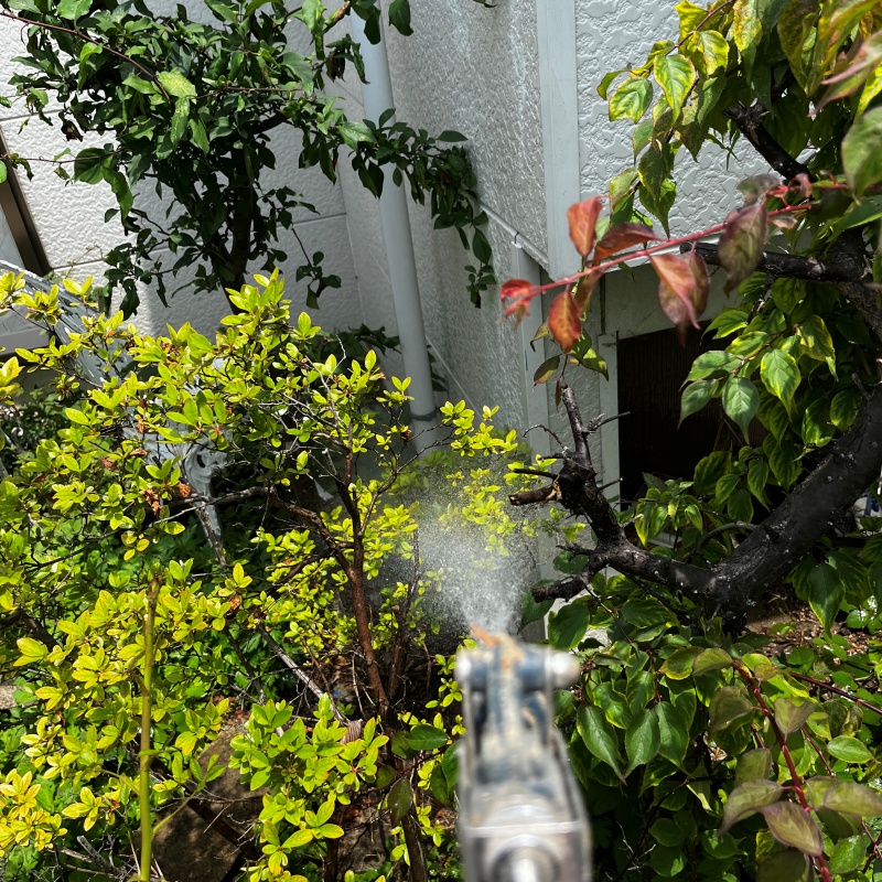 建物外周の土壌にシロアリ駆除剤を吹き付ける様子